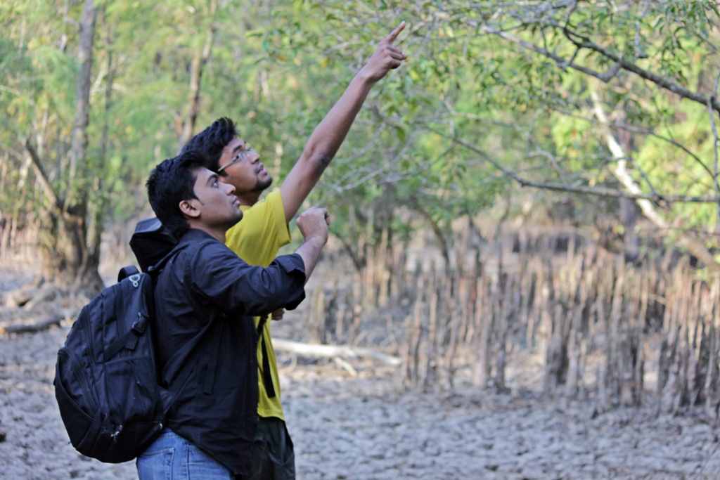 চলছে পাখি অন্বেষণ