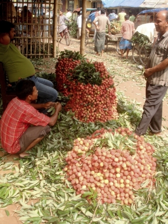 cms.somewhereinrrrblog.net