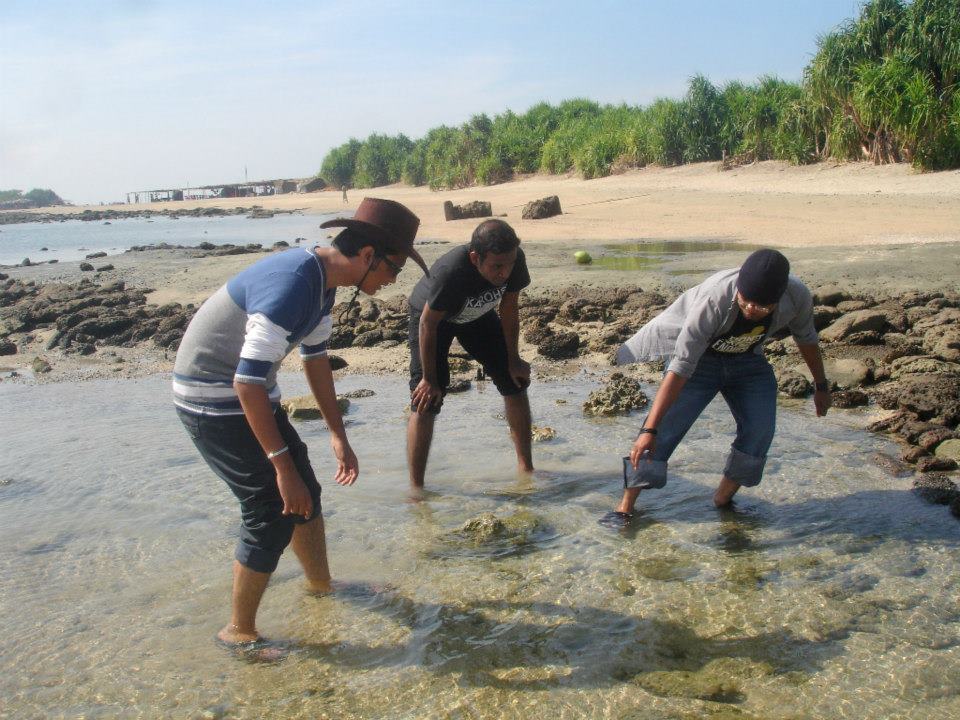 523947_531627183516866_940329106_n